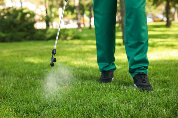 Reliable Arbutus, MD Pest Control Solutions
