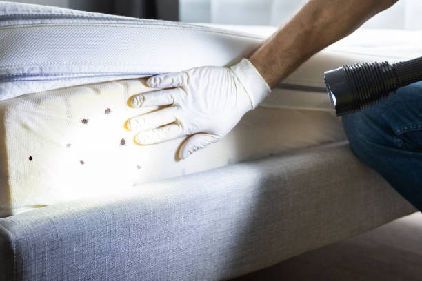 Best Wildlife Control Services  in Arbutus, MD