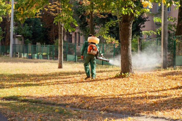Best Exterminator Services  in Arbutus, MD