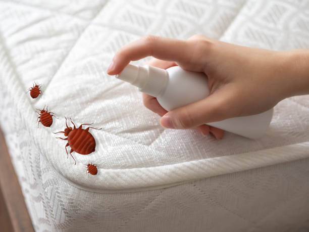 Best Best Pest Control Companies  in Arbutus, MD